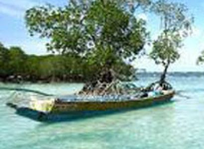 Port Blair - Havelock Island - Neil Island Tour