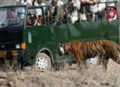 Ranthambore Delight Tour