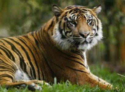 Bandhagarh National Park