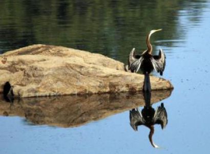 Satpura National Park Tour