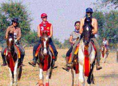 Horse Safari in Rajasthan Tour
