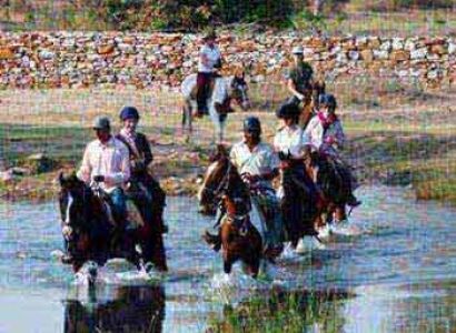 Rajasthan Horse Safari Tour