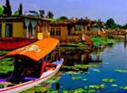 Amazing Tour Of  Kashmir