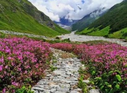 Valley Of Flowers Trek Tour