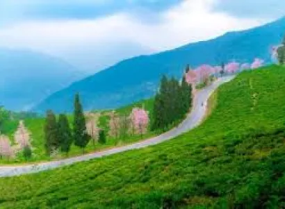 Goumukh – Tapovan Trek Tour Package