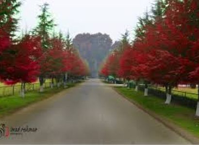 Magnificent Kashmir Tour