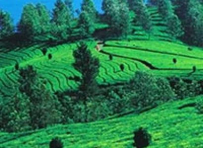 Tamil Nadu And Kerala Tour