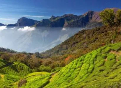 2 Night 3 Days- Munnar Tour Package