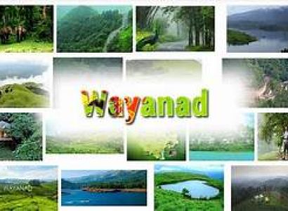 2 Night 3 Days - Wayanad Tour Package