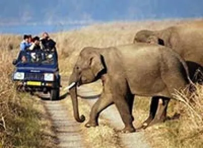 Delhi - Sariska National Park Weekend Tour 