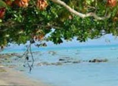 Port Blair - Havelock - Baratang Tour