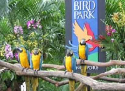 Best Singapore Seller Tour