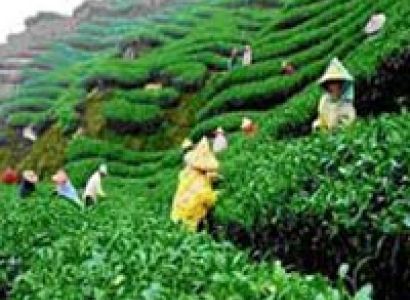 Guwahati Tour 5N /6D