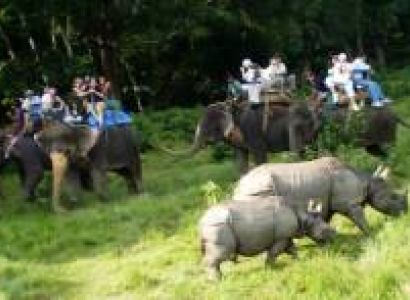 Kathmandu Chitwan Tour Package