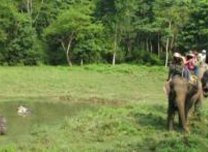 Lataguri Tour Package