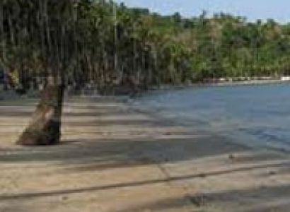 Andaman Family Package