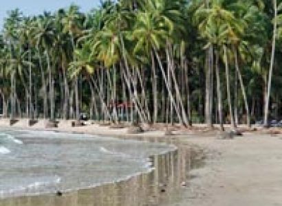 Mangroove Andaman (LTC) Package