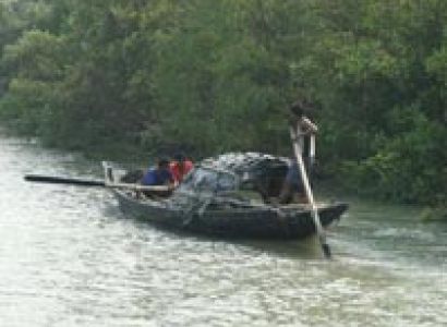 Sundarbans visit 2n/3days Tour