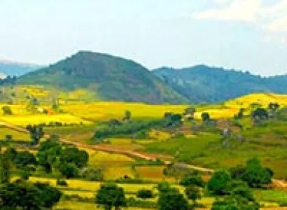 Orissa Tribes With Arraku Valley Tour