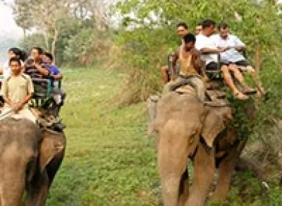 Kaziranga Tour Package