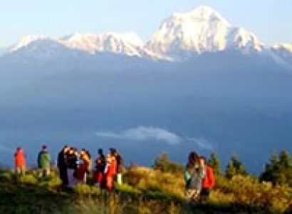 Ghorepani Poonhill Trek Tour