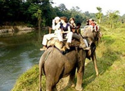 Bardia Jungle Safari Tour