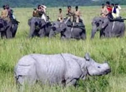 Charismatic Kaziranga Tour