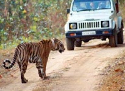 Versatile Manas Tour