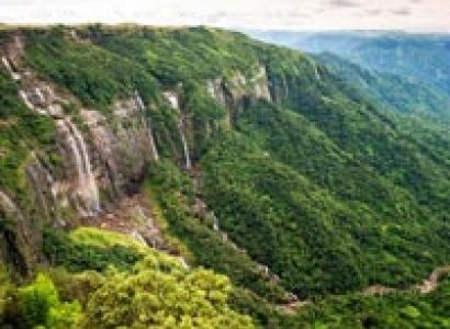 Aesthetic Flora & Fauna Tour