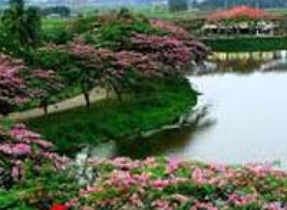 Guwahati Local Sight Seeing Tour