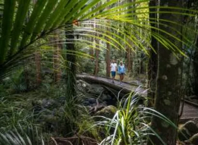 New Zealand - Northern Splendour