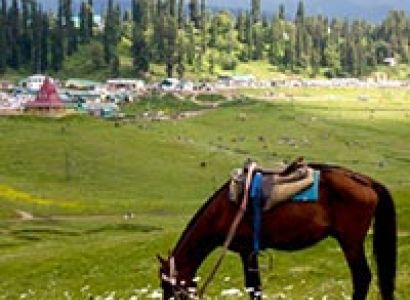 Feel the Nature Tour