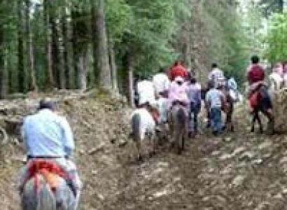 Amazing Delhi Shimla Manali Volvo Package 6 N/ 7 D