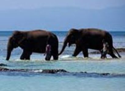 Andaman Tour