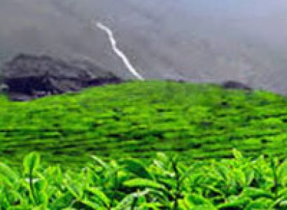 Northeast Special Tour