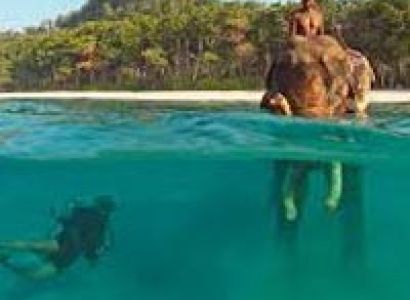 Andaman & Nicobar Delight Tour