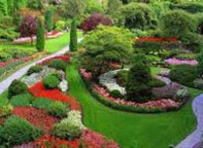 Bangalore Mysore Ooty Tour