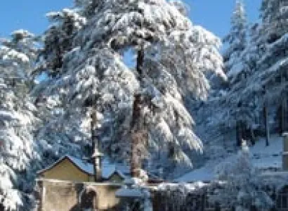 Manali Special Package