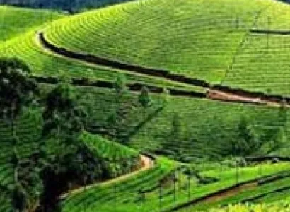 Charm of Ranikhet Tour