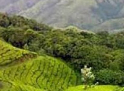 Magic in Kausani Tour