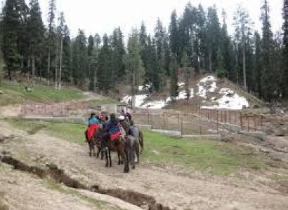 Sonamarg - Vishnesar - Gangbal - Naranag Tour