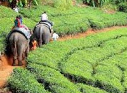 Cheap Kerala Packages