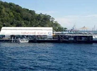 Deep Sea Discoveries (Reef platform) Tour