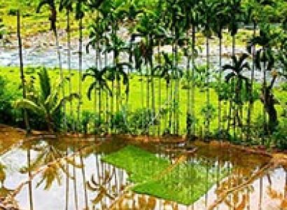 Countryside Discovery on 2 Wheels (Basic) Tour