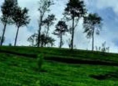 Trails of Sri Lanka Tour