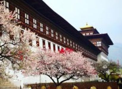 A Week In Bhutan Tour