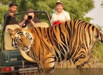 Golden Triangle Ranthambore Tour
