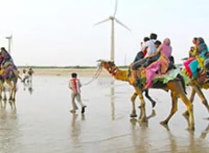 Kutch - Mount Abu 4N/5D Tour