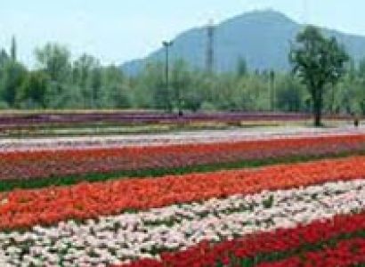 Discover Kashmir Tour