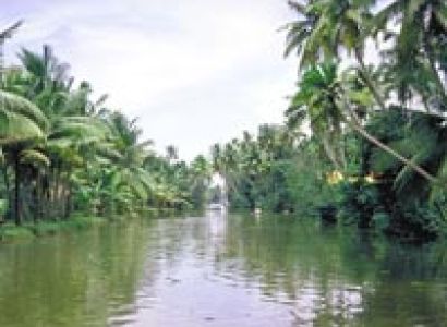 Kerala Hill Station & Backwater Tour Package